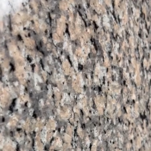 royal rose granite countertop or flooring in USA.