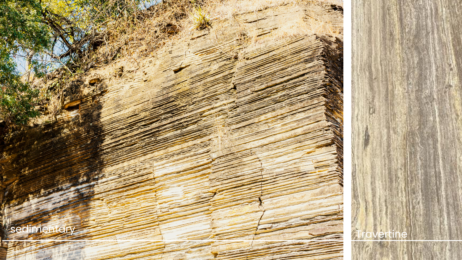 Understanding the Different Types of Sedimentary Rocks